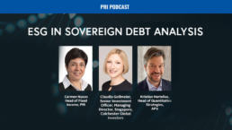 Sovereign Debt Analysis